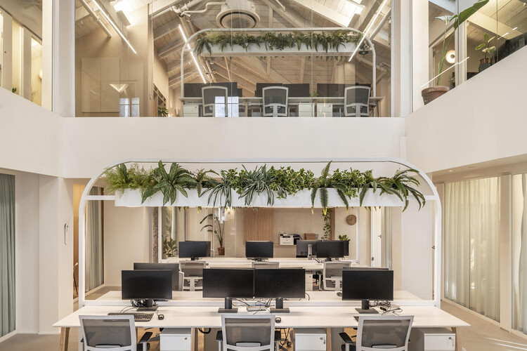 Color that speaks, design that lasts